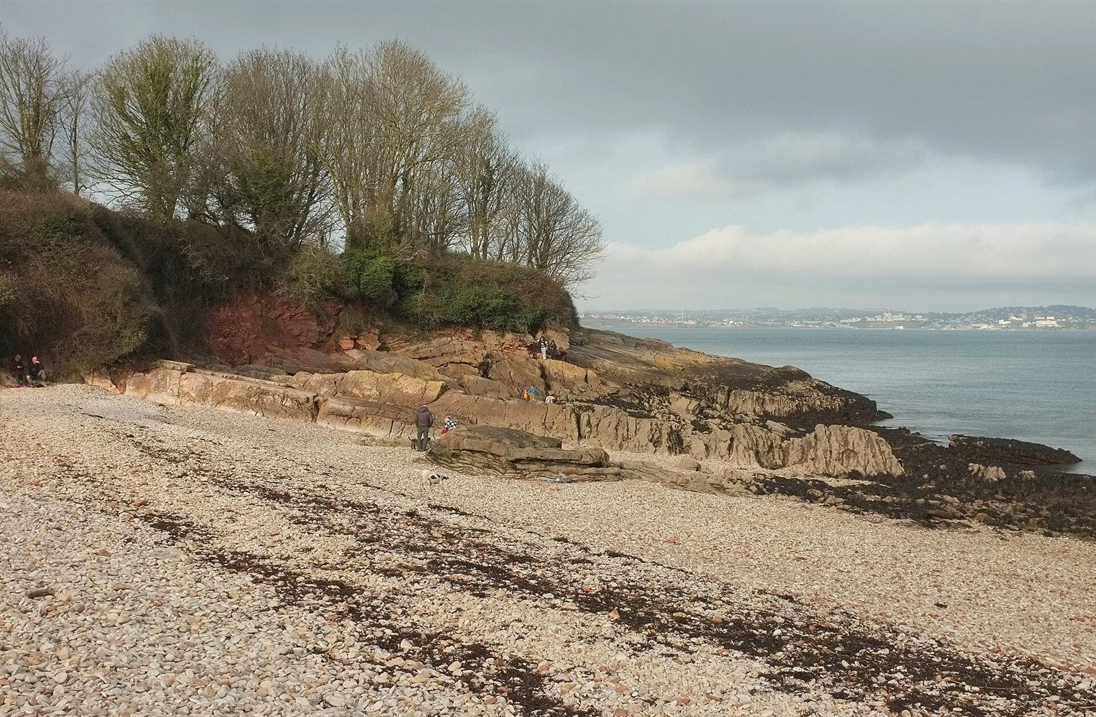 Elberry Cove in South Devon